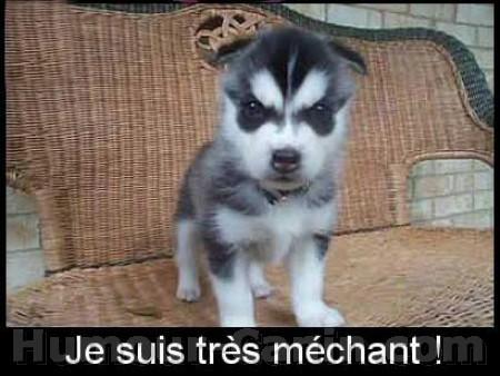 oula!!!!!!!!!!