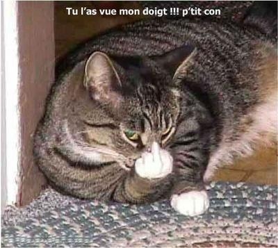 d&eacute;lire 